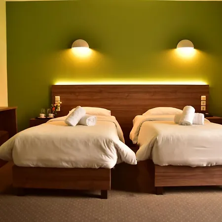 ホテル Mont Helmos 3*